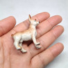 Chihuahua Dog