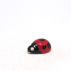 Tinmy Ladybug