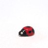 Tinmy Ladybug