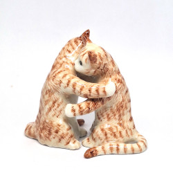 Hug Cat