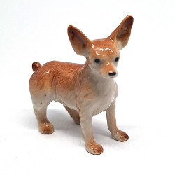 Chihuahua Dog