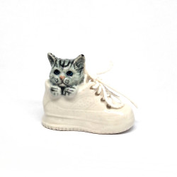 Cat In Shoe
