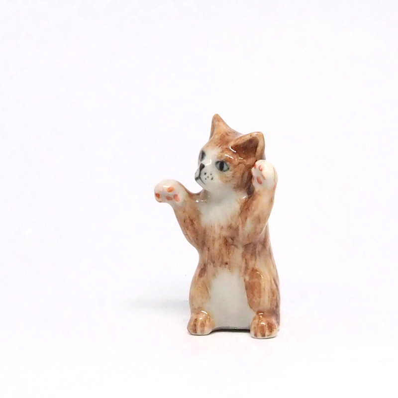 Jumping Cat