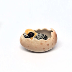 Bird Egg