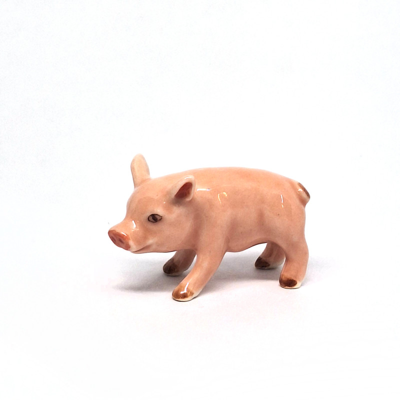 Pig