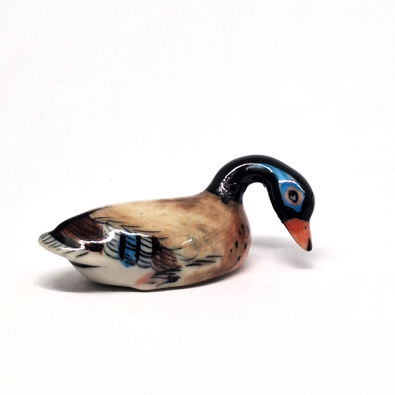 Duck