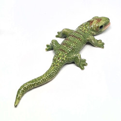 Gecko