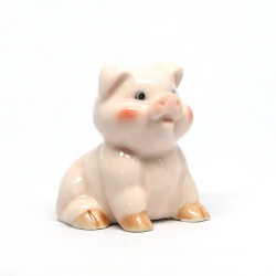 Pig